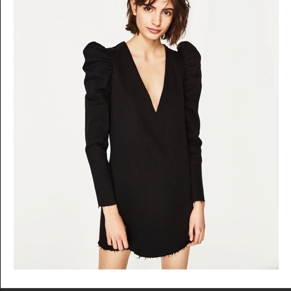 Zara Dresses & Skirts - This! is! it!!! Fall wardrobe staple!